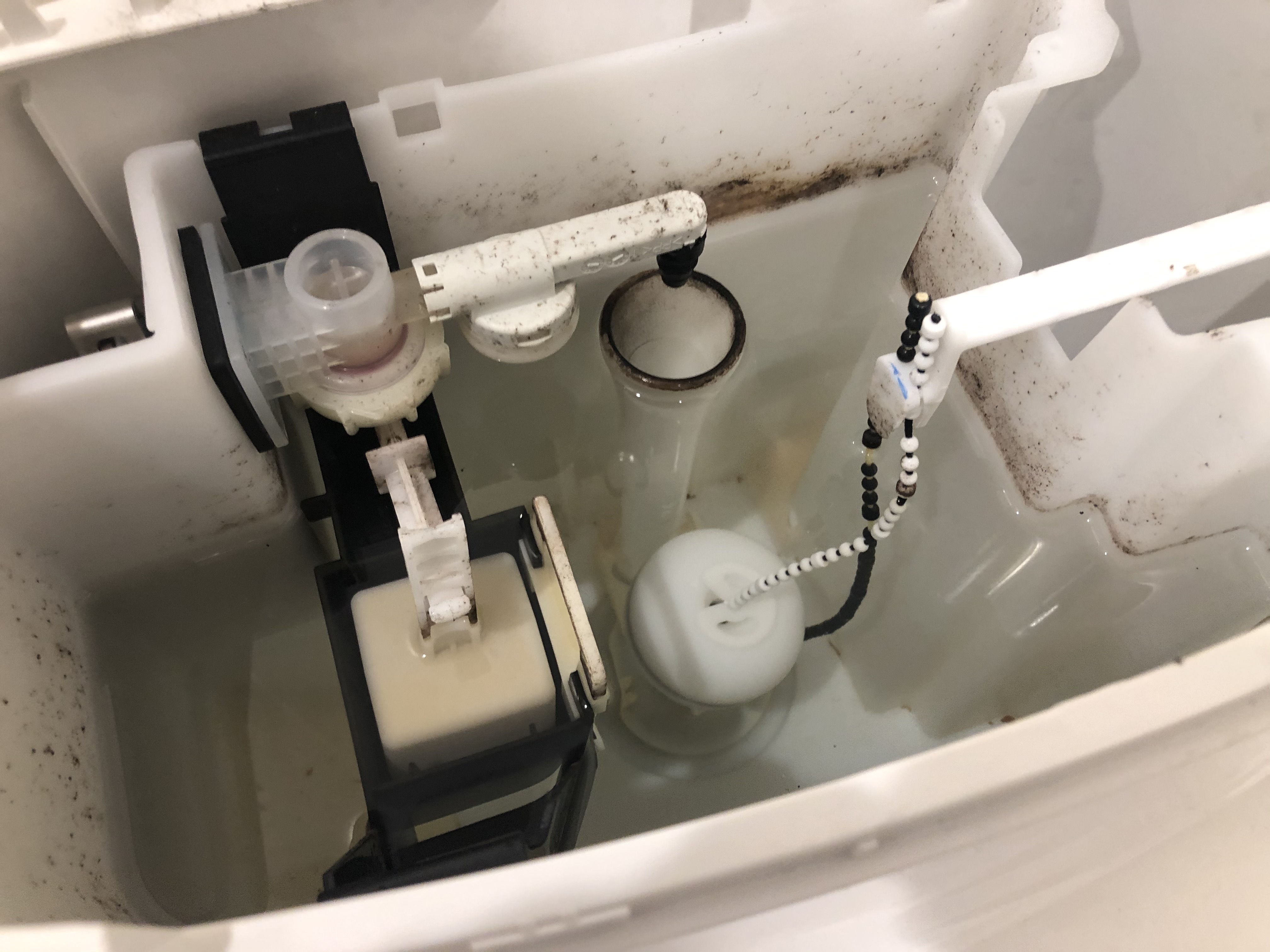 トイレクリーニング＆タンク内洗浄 2020/6/24 神奈川 ・東京のハウスクリーニングはおそうじリファインにお任せ