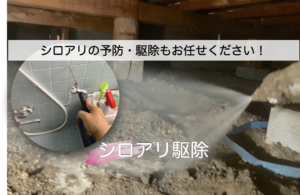 【シロアリ駆除】春〜初夏はシロアリの活動が本格化！