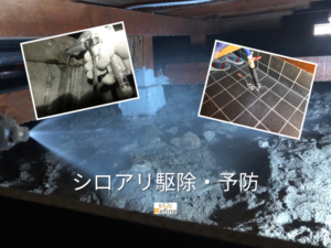 【シロアリ駆除・予防】 被害が広がる前の対策が重要です